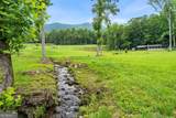 1449 Muskrat Creek Road - Photo 54