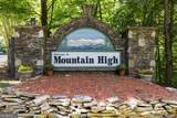 115 Mountain High Drive - Photo 48