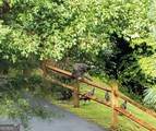 115 Mountain High Drive - Photo 52