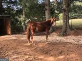 1200 Woodlawn Road - Photo 100