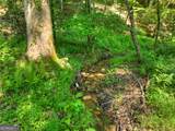279 Shallow Water Trail - Photo 62