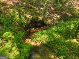 279 Shallow Water Trail - Photo 63