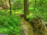 279 Shallow Water Trail - Photo 64