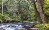 279 Shallow Water Trail - Photo 79