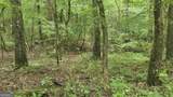 3065 Smokey Road - Photo 11