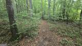 3065 Smokey Road - Photo 16