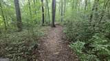 3065 Smokey Road - Photo 17