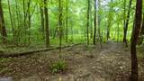 3065 Smokey Road - Photo 22