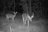 47 ACRES Cochran Road - Photo 3