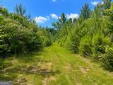 47 ACRES Cochran Road - Photo 8