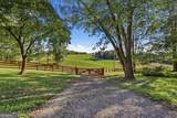 1133 Ricky West Road - Photo 19