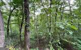 LOT 20 Enchanted Ridge Ridge - Photo 10