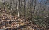LOT 20 Enchanted Ridge Ridge - Photo 16