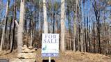 6155 (LOT #1) Little Ridge Road - Photo 12