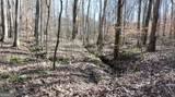 6155 (LOT #1) Little Ridge Road - Photo 14