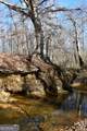 2977 Georgia Highway 120 - Photo 55