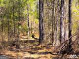 0 Americus Highway - Photo 13