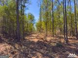 0 Americus Highway - Photo 17