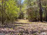 0 Americus Highway - Photo 28