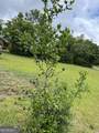 3940 Stilson Leefield Road - Photo 62