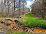 90 +/- ACRES English Road - Photo 6