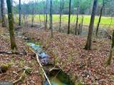 896 Talbotton Highway - Photo 41