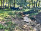 6223 Hulsey Road - Photo 12