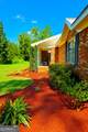 251 Pettigrew Road - Photo 3