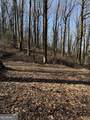 6180 Burnt Mountain Road - Photo 1