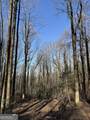 6180 Burnt Mountain Road - Photo 3