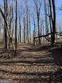 6180 Burnt Mountain Road - Photo 4