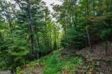 0 Dusty Danno Trail - Photo 12