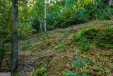 0 Dusty Danno Trail - Photo 13