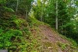 0 Dusty Danno Trail - Photo 15