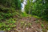 0 Dusty Danno Trail - Photo 16