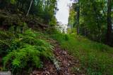 0 Dusty Danno Trail - Photo 17
