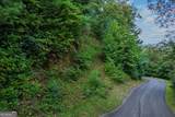 0 Dusty Danno Trail - Photo 8