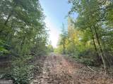 15 Turning Point Way - Photo 84