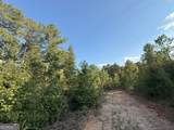 15 Turning Point Way - Photo 88