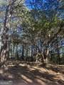 0 County Road 432 Lot 6 - Photo 10