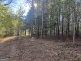 0 County Road 432 Lot 6 - Photo 13