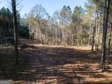 0 County Road 432 Lot 6 - Photo 30
