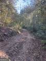 0 County Road 432 Lot 6 - Photo 4