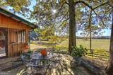1654 A Ward Mountain Road - Photo 25