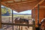 1654 A Ward Mountain Road - Photo 53
