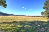 1654 A Ward Mountain Road - Photo 70
