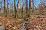 61 Bear Ridge Road - Photo 56