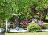 1330 Monroe Drive - Photo 52