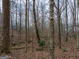 8.5 ACRES Rockbridge Road - Photo 11