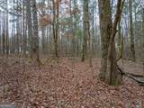 8.5 ACRES Rockbridge Road - Photo 15
